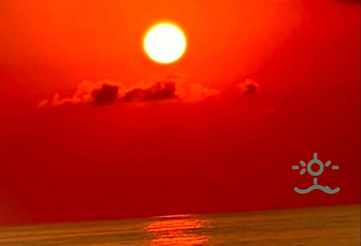 Ваши Эксперты по Недвижимости в Гурии