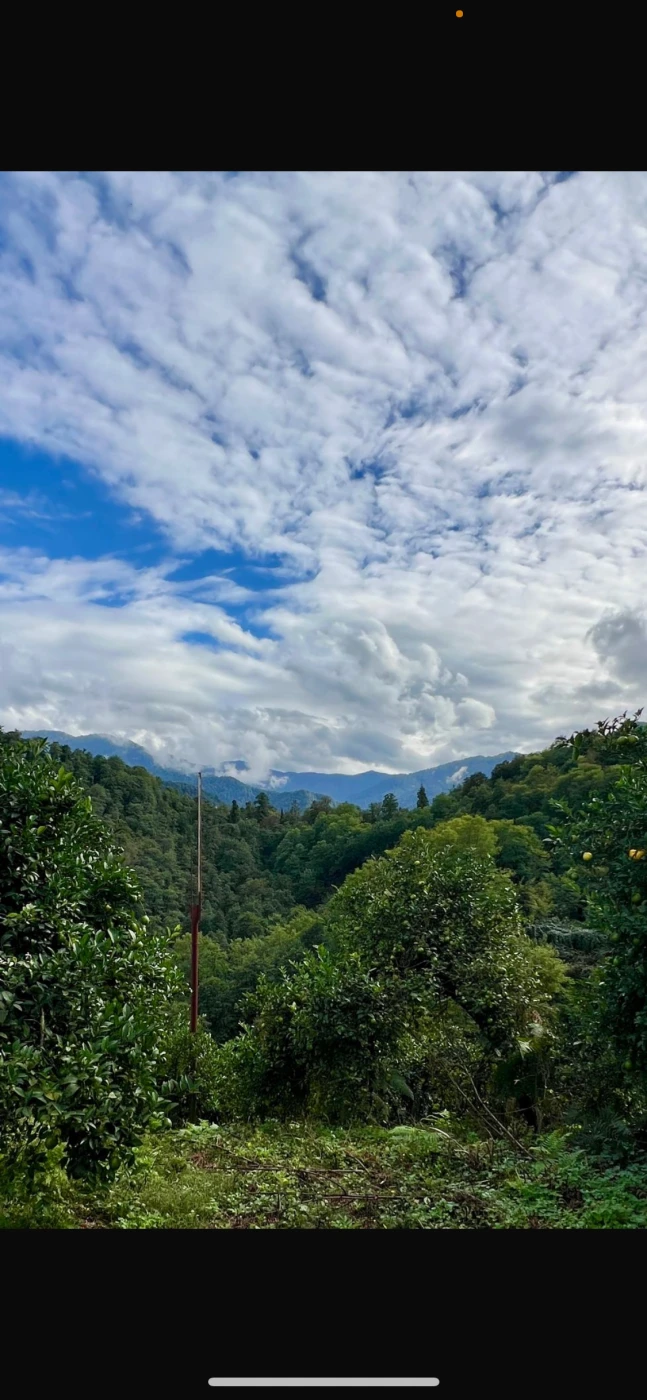 A plot of land with a house in Natanebi village