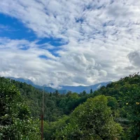 A plot of land with a house in Natanebi village