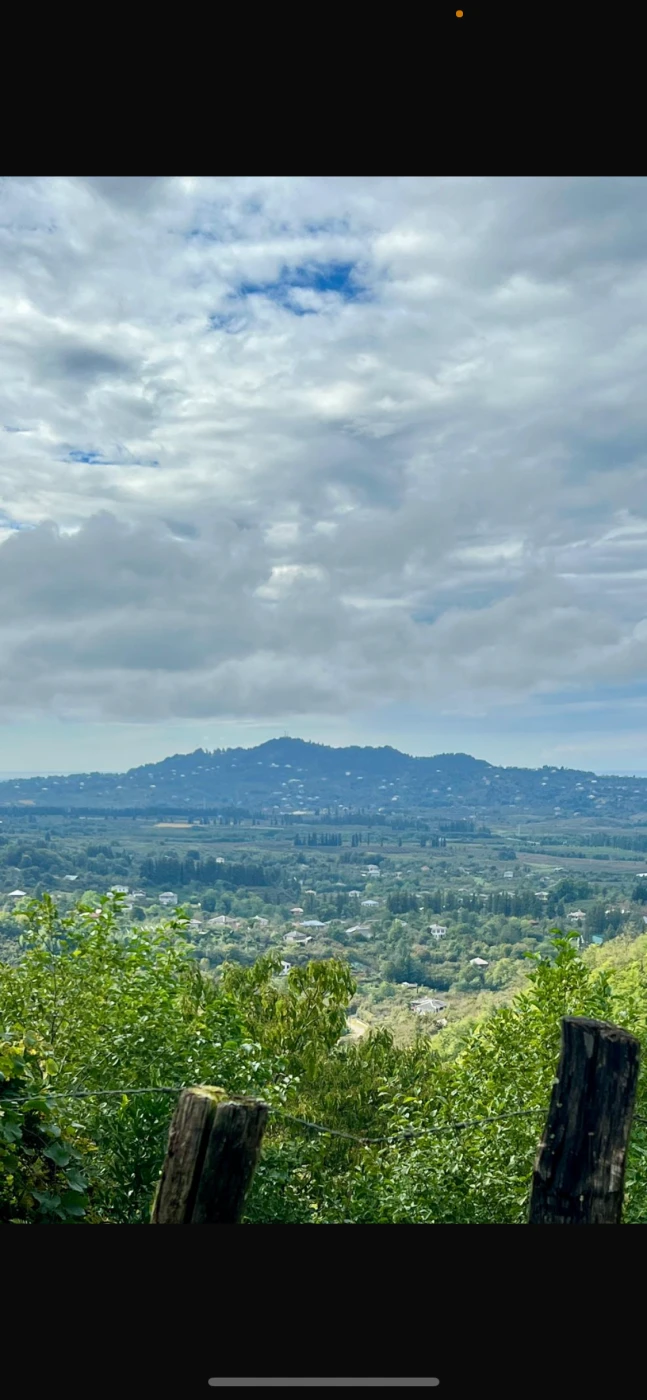 Участок в с. Натанеби с домом