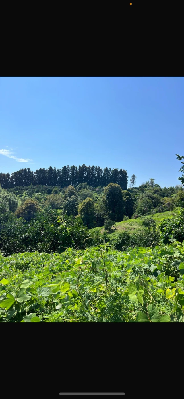 A plot of land, Ureki, 90000 sq.m