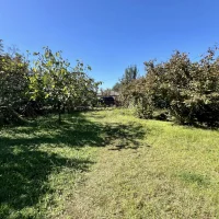 Участок с домом с. Мэрия 38000 кв. м