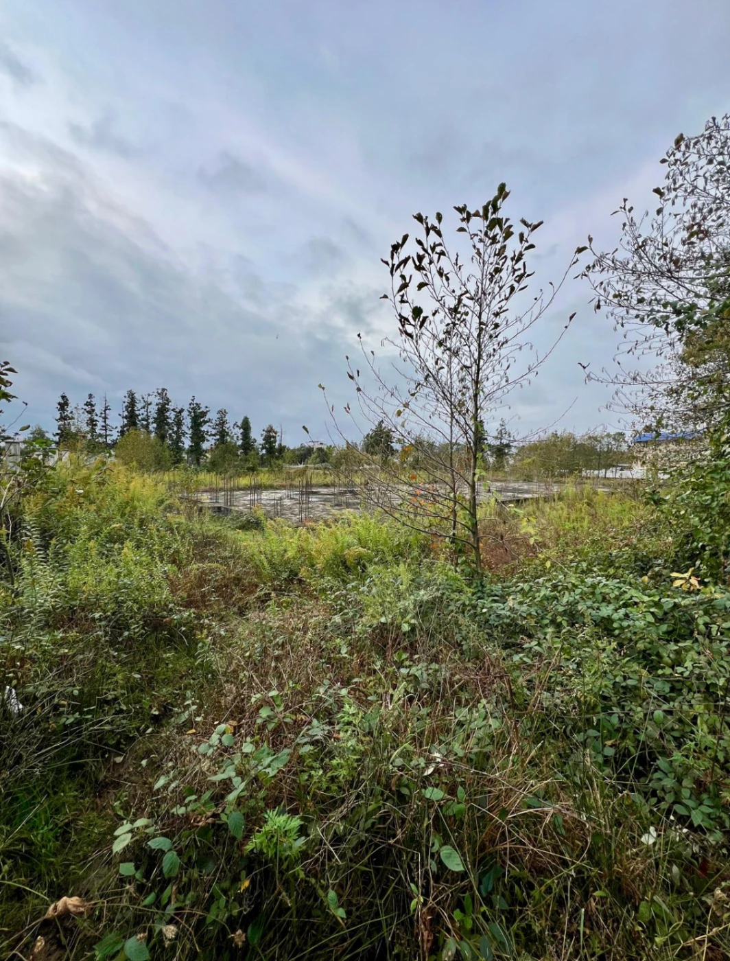 A plot of land in Ureki