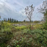 A plot of land in Ureki