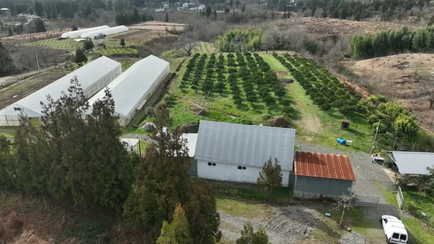 Natanabi Farm – Prime Agricultural Land Near the Black Sea