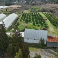 Natanabi Farm – Prime Agricultural Land Near the Black Sea
